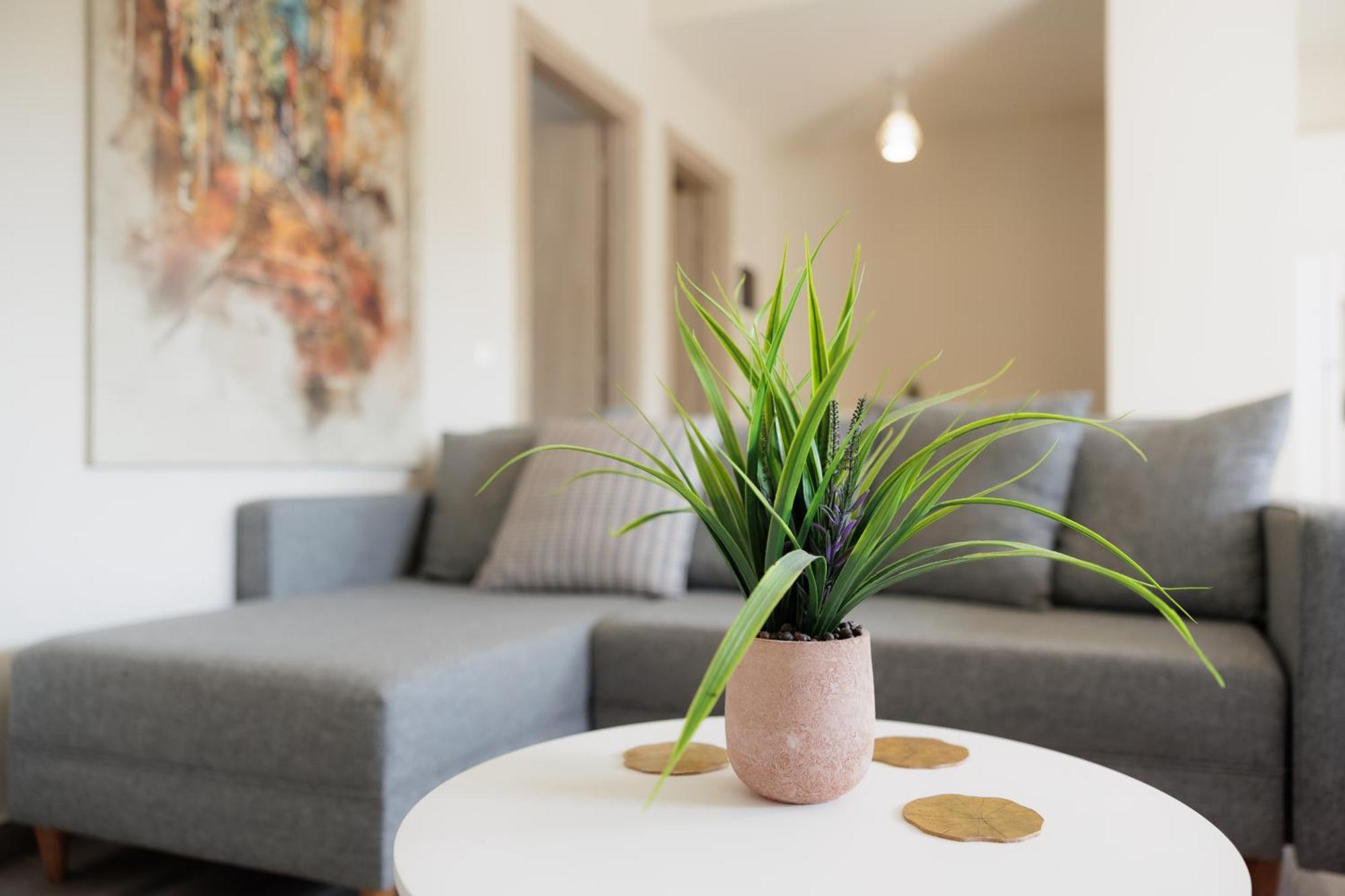 古维亚Sundial House公寓 外观 照片